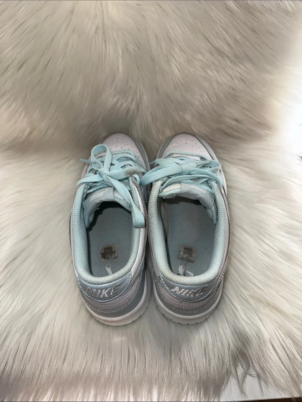 Nike Dunk Low
